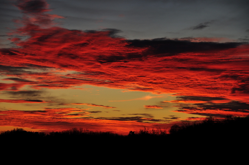Alba rossa