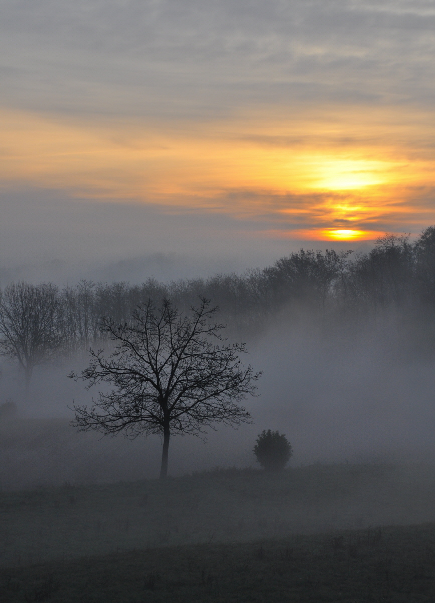 Alba invernale