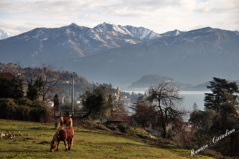 Veduta da Mezzegra