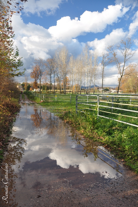 Acqua alta!