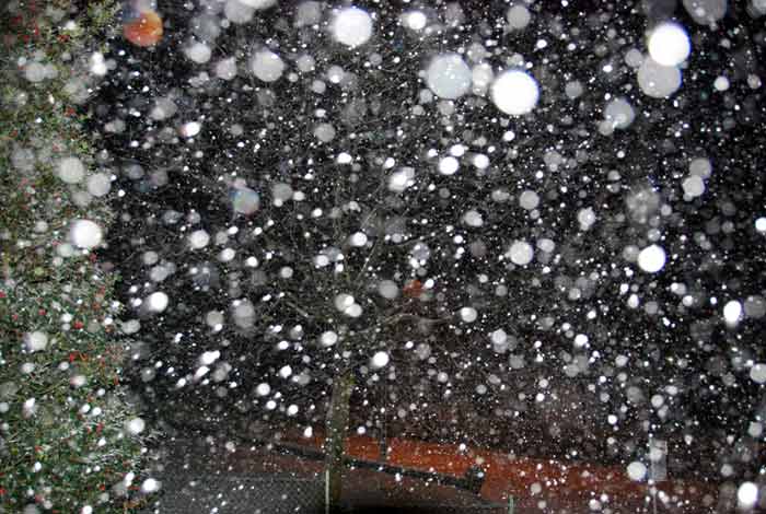 Fitta nevicata di Natale