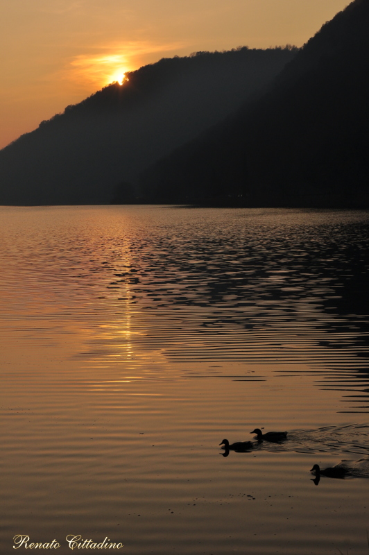 Colori al tramonto