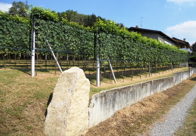 Ronchetto - autunno 2010