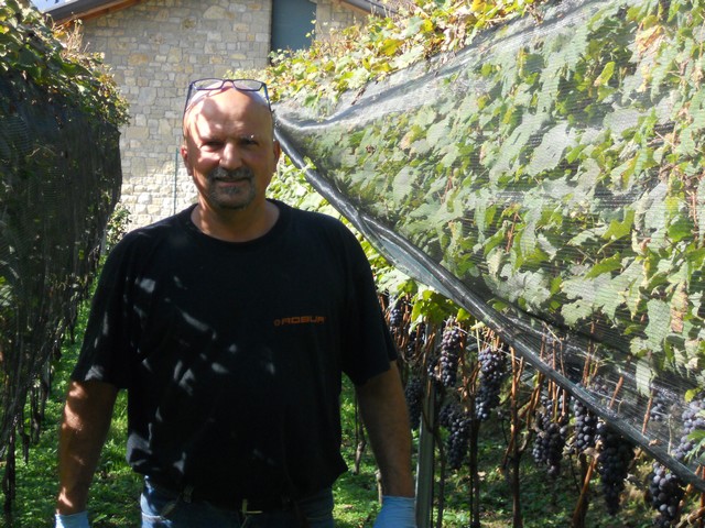 Vendemmia - autunno 2011