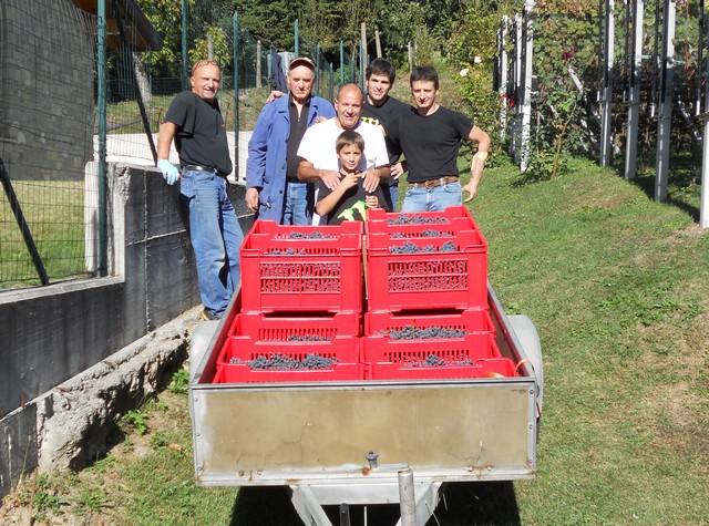 Vendemmia - autunno 2011