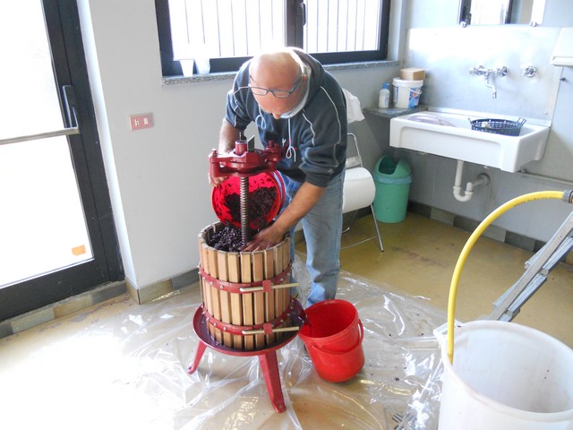 Vino - autunno 2011