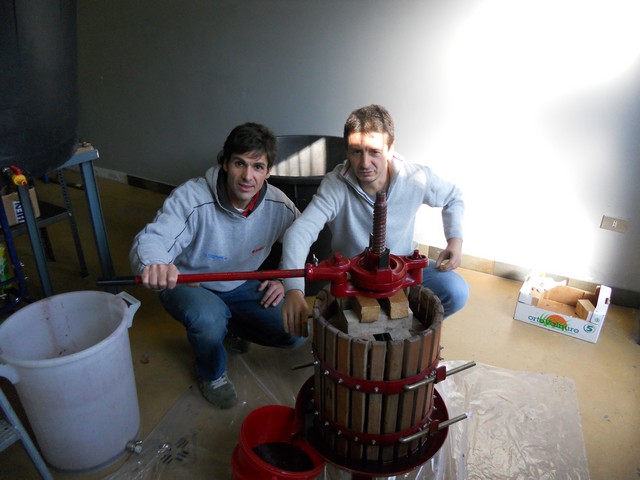 Vino - autunno 2011