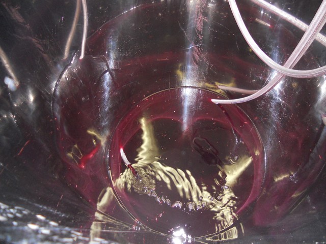 Vino - autunno 2011