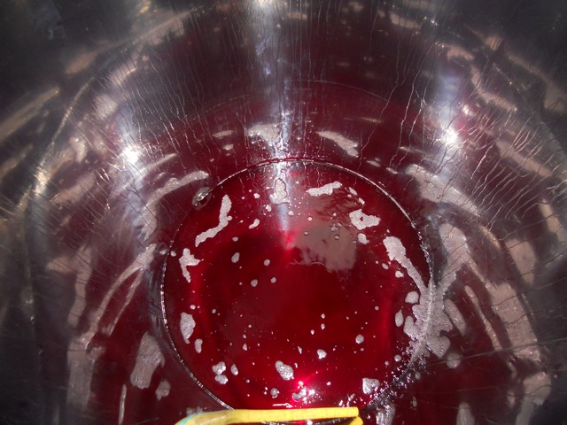 Vino - inverno 2011-12